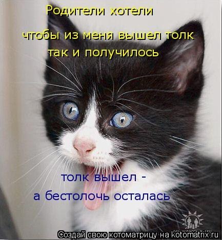 №169, Екатерина Васильева, Санкт-Петербург №169, Екатерина Васильева, Санкт-Петербург