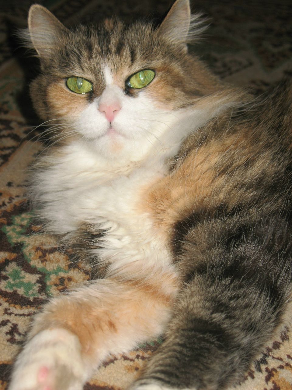 Ирина Комарова | Санкт-Петербург