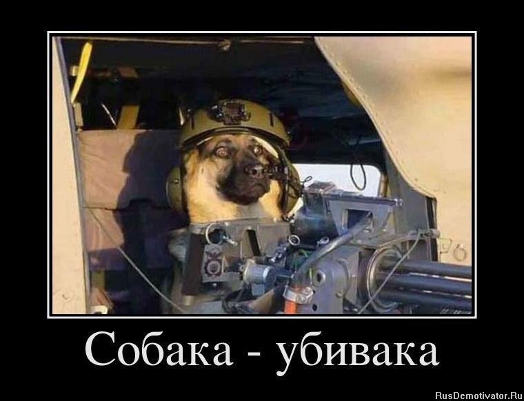 Андрей Лефутуренко | Киев