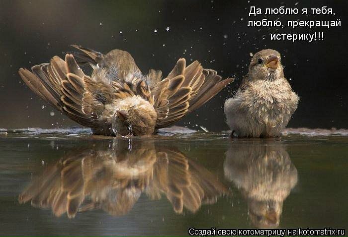 №107, Николай Ковальчук, Горишние Плавни / Комсомольск №107, Николай Ковальчук, Горишние Плавни / Комсомольск