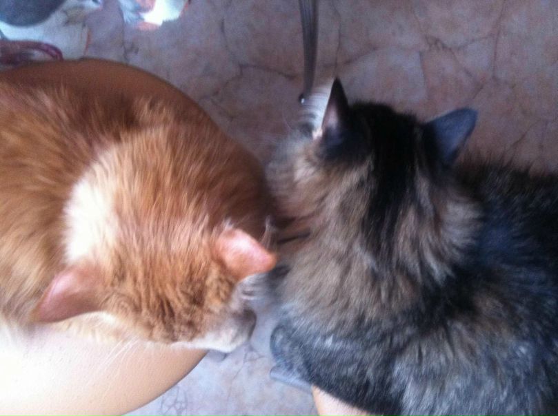 №29, Александр Алборов, 41 год, Москва №29, Александр Алборов, 41 год, Москва