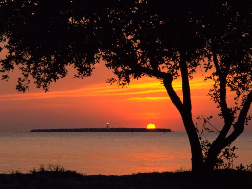 Дмитрий Симоненков | 