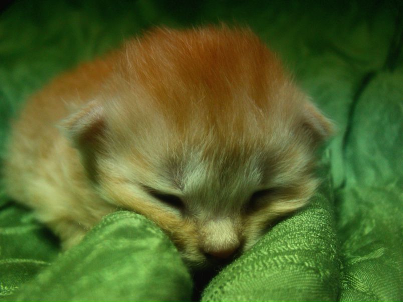 №111, Павел Щербатюк, 36 лет №111, Павел Щербатюк, 36 лет