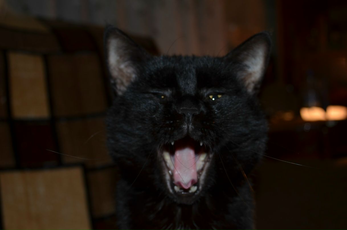 Oksana Kotova ت | Пенза