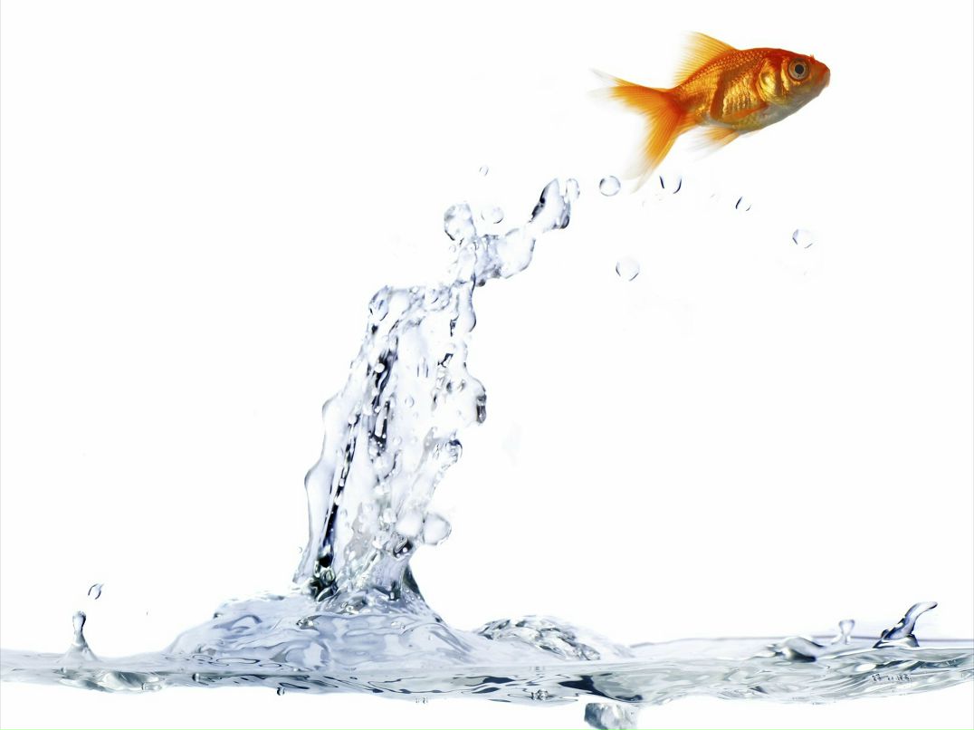 Павел Мосокин | Санкт-Петербург