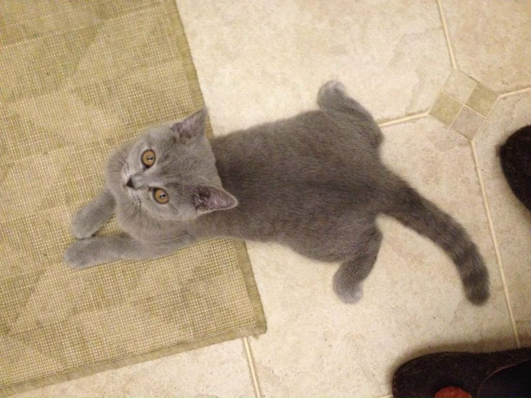 Ольга Грабилова | Санкт-Петербург