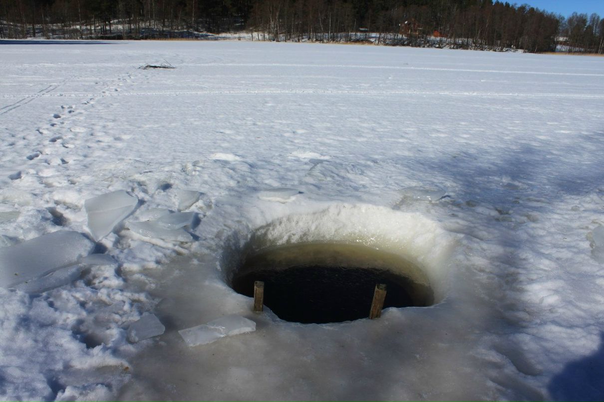 Иван Подосинников | Санкт-Петербург