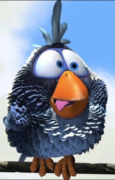 Максим Ерошко | Зеленогорск