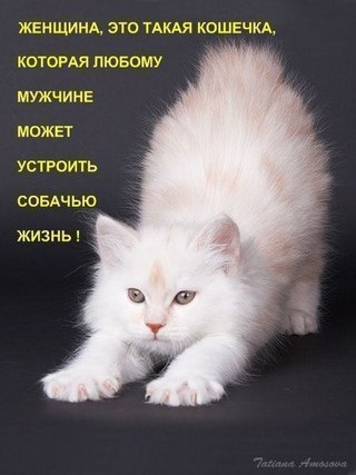 Владимир Хильман | Коряжма