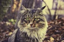 №27 Надежда Железнова
