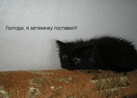 №88, Екатерина Дубинина, Тверь №88, Екатерина Дубинина, Тверь