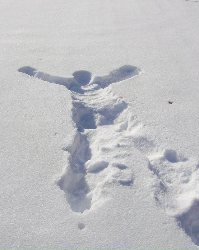 Анна Коновалова | Киев