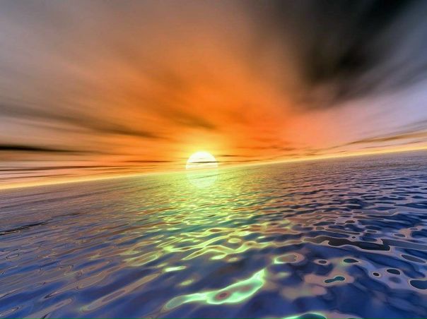 №14, Нина Елисеева №14, Нина Елисеева