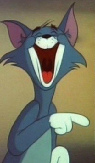 Тимур Тюльпин | Геническ