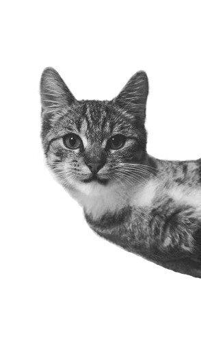 Vassiliy Puzach 1478073378 852591259 | Костанай