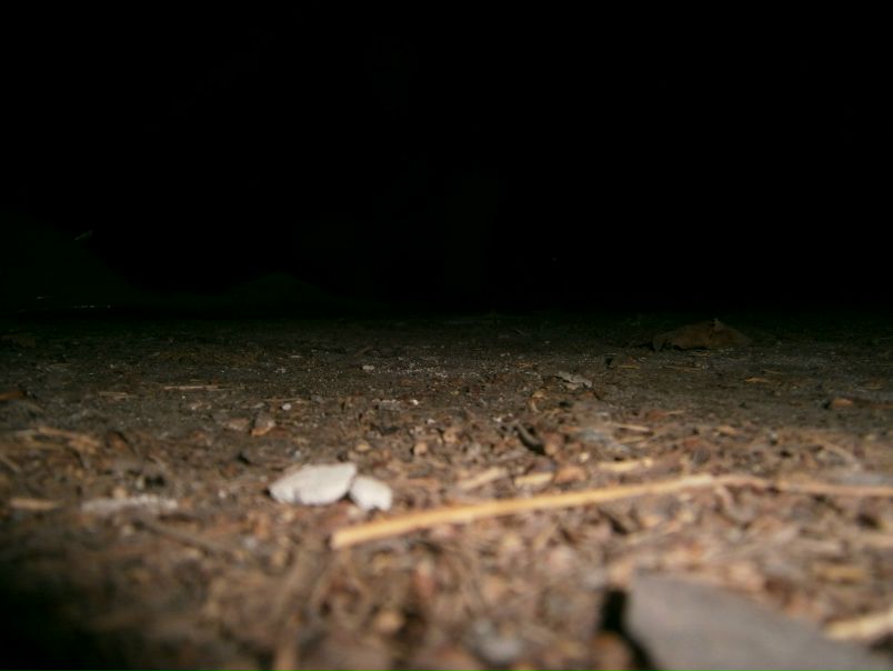 №83, Альберт Синицький, 40 лет, Тернополь №83, Альберт Синицький, 40 лет, Тернополь