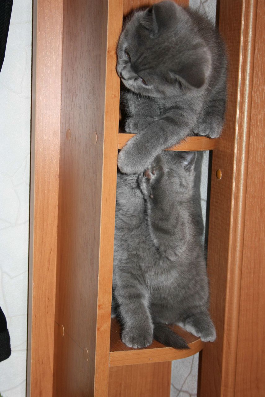 Александра Морозова | Кондопога