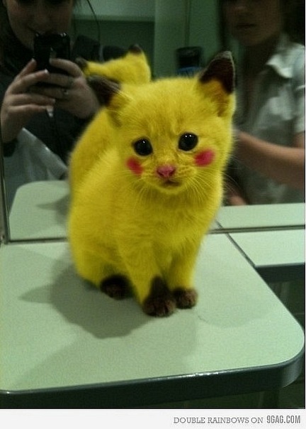 №16, Юлия Запольская, Москва №16, Юлия Запольская, Москва