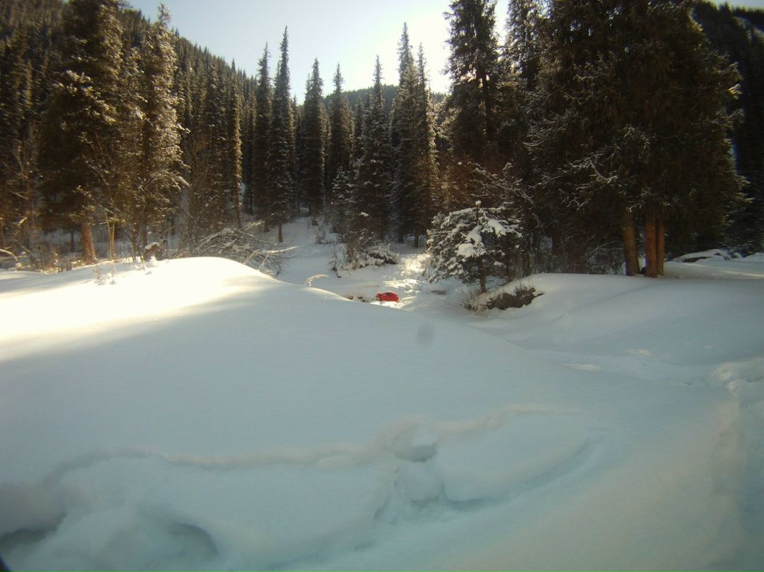 Павел Шамаков | Есик