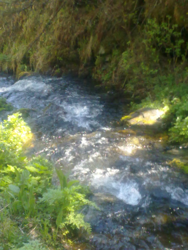 Михаил Анисимов | Иркутск