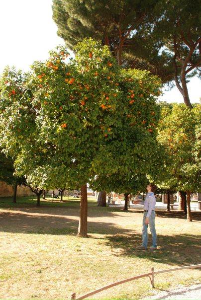 №70, Мария Кузаева, 38 лет, Москва №70, Мария Кузаева, 38 лет, Москва