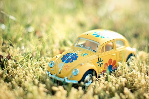 Ксения Шелюк | Bratislava