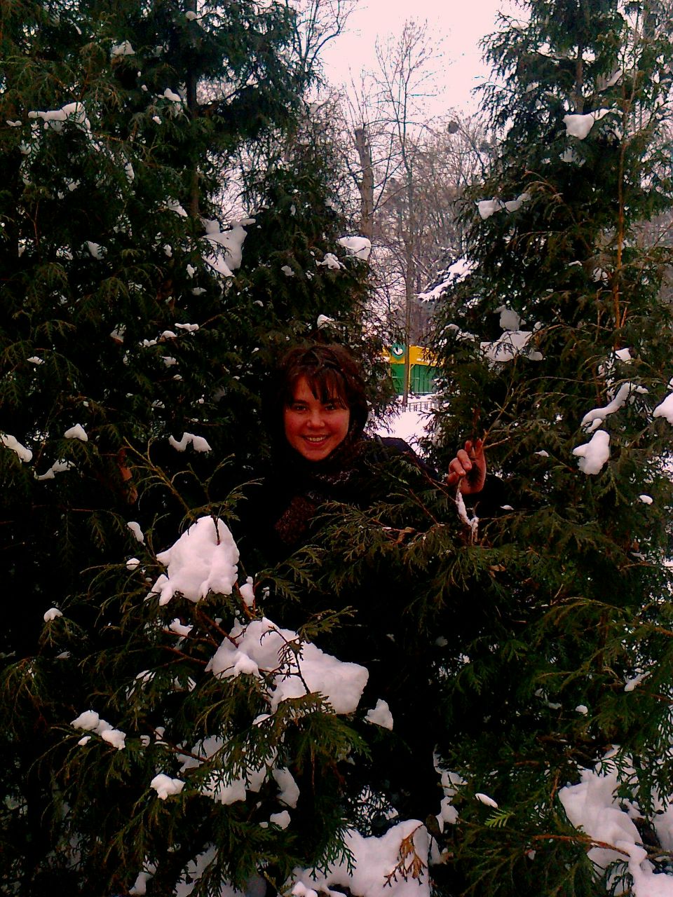 Альонка Бендра | 