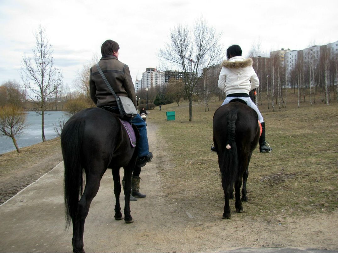 Николай Городецкий Aveal Coldman | Минск