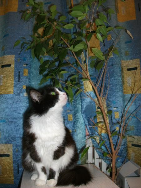 №104, Серафима Селезнёва, 03.04, Омск №104, Серафима Селезнёва, 03.04, Омск