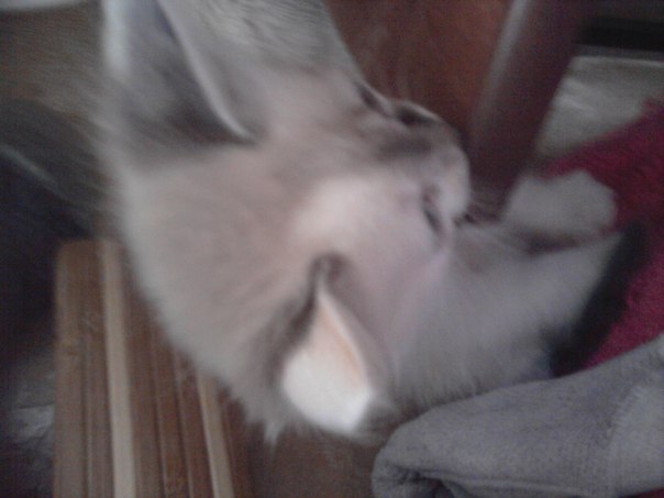 №52, Машенька Гримайло, 27 лет, Краматорск №52, Машенька Гримайло, 27 лет, Краматорск