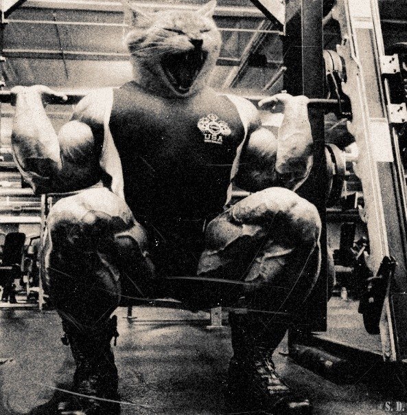 Григорий Бойко | Киев