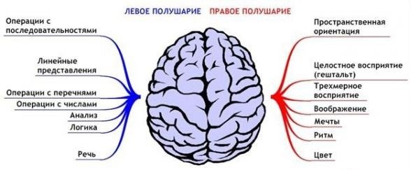 Лена Федюхина | Самара