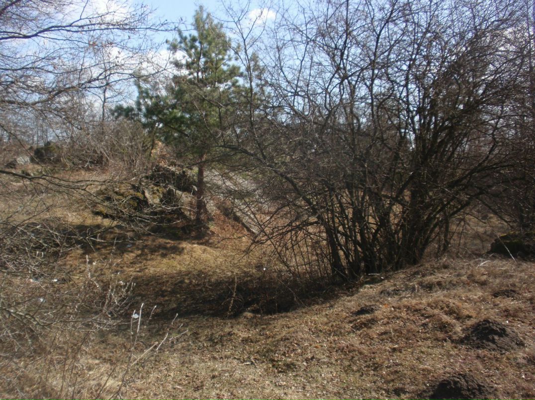 Борис Блаженний | Киев