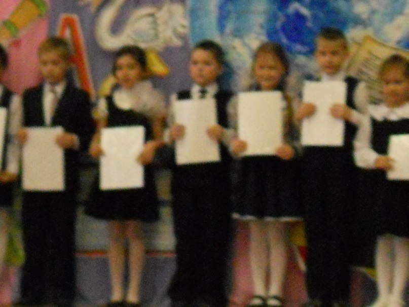 Юлия Прялухина-Шаманина | Архангельск