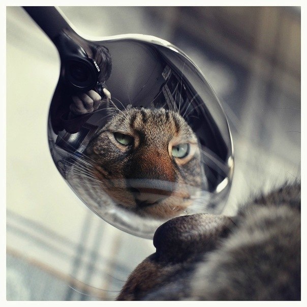 Рома Москвитин А фамилия? | Лабинск