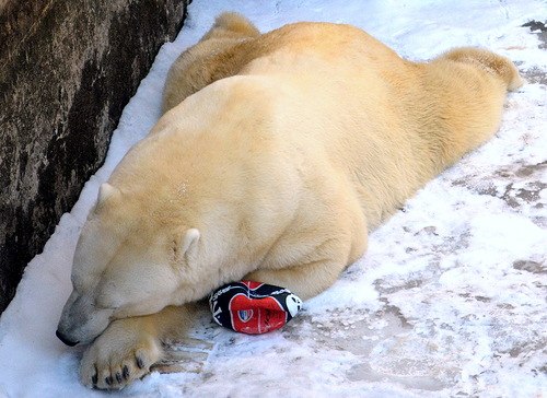 Юлия Ковалёва | Тверь