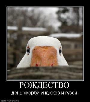 №88, Катерина Черникова, Одесса №88, Катерина Черникова, Одесса