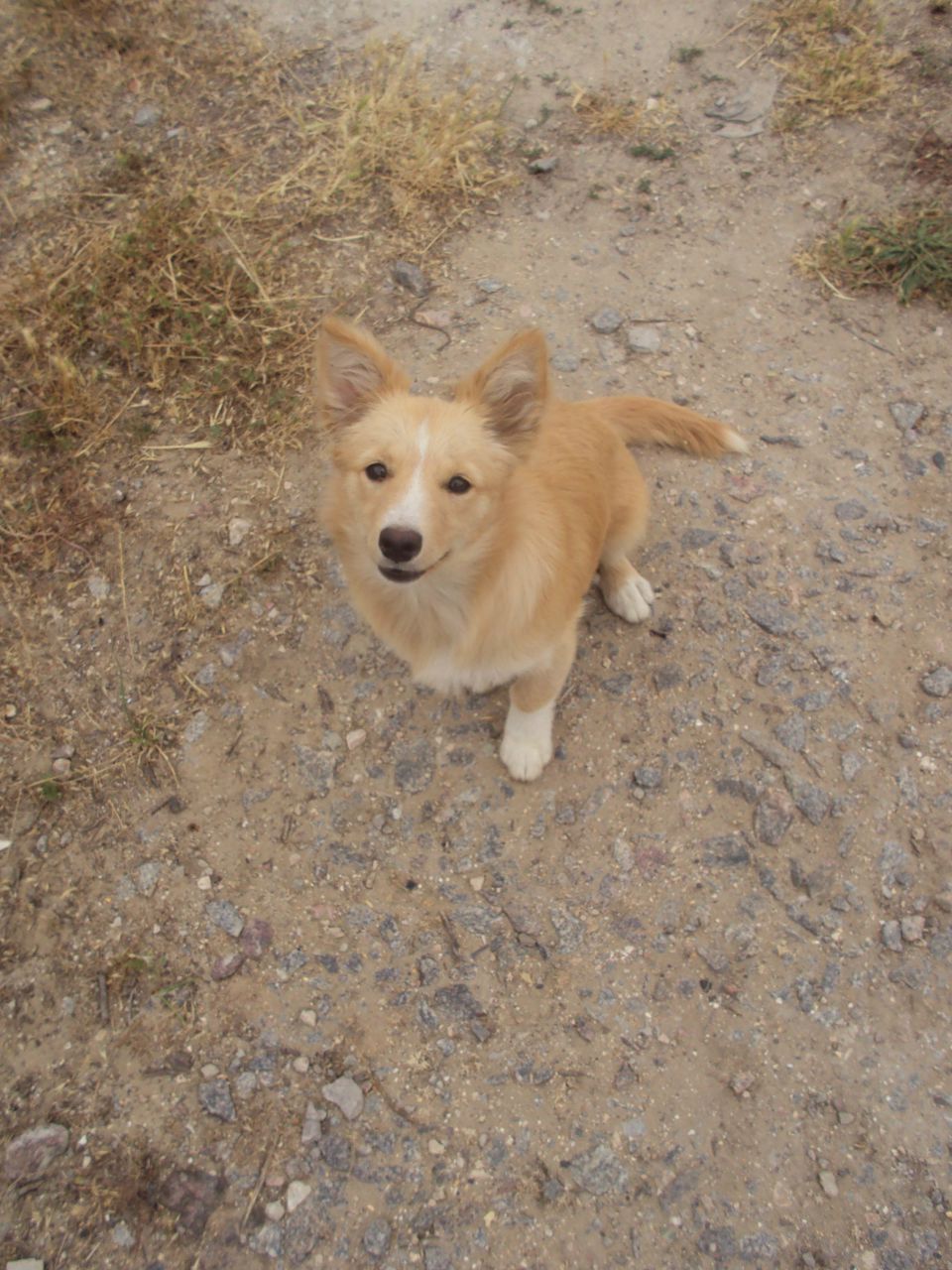 Максим Апарин | Москва