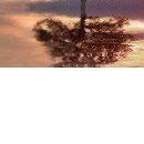 №123, Елена Щербакова, 37 лет, Харьков №123, Елена Щербакова, 37 лет, Харьков