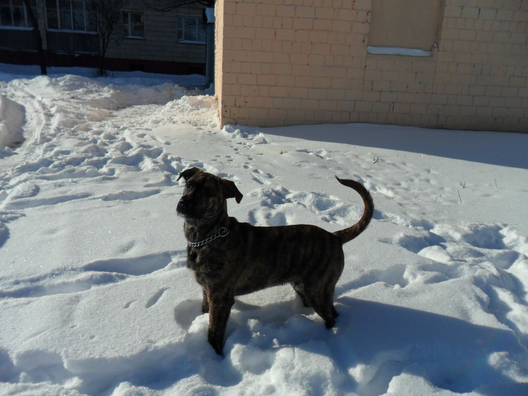 Александр Колодей 웃♥유 | Жлобин