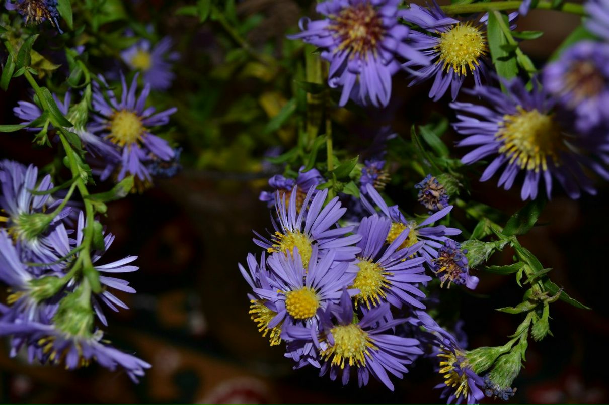 Татьяна Кизякова | Волгоград