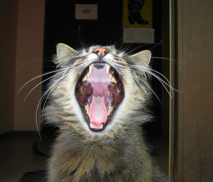 Руслан Хузияхмитов | 