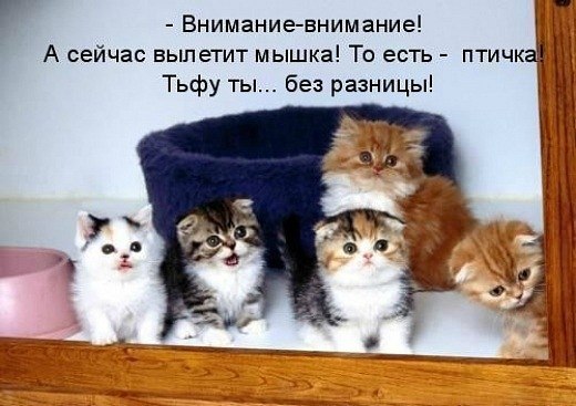 Мария Моисейчева | Киев