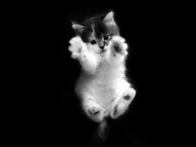 Антон Симаков | Москва