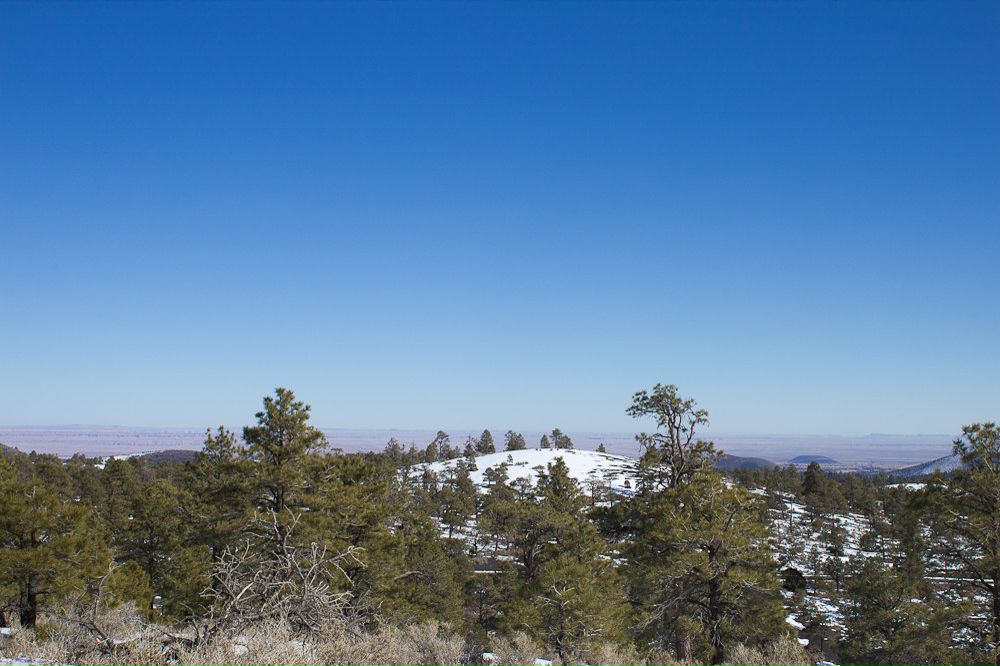 Илья Альбрехт | Phoenix