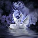 №35 Лена Милашова 13.02.1996: профиль, фото, статус - ВКонтакте №35 Лена Милашова 13.02.1996: профиль, фото, статус - ВКонтакте