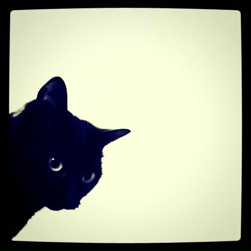 Юрий Котенко | Москва