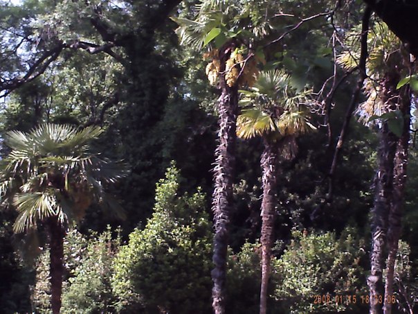 №89, Артур Федоренко, 27 лет, Одесса №89, Артур Федоренко, 27 лет, Одесса