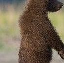 Анастасия Подвиженко | Москва