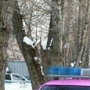 №2 Мариша Исакина : профиль, фото, статус - ВКонтакте №2 Мариша Исакина : профиль, фото, статус - ВКонтакте